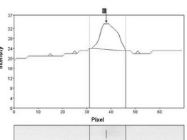 Fully Quantitative Platforms