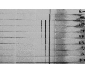 Signal Manipulation
